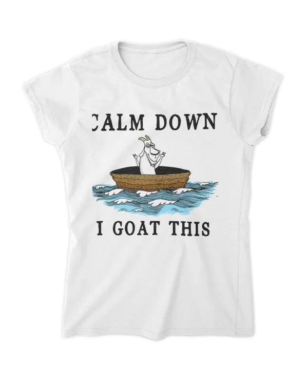 Women's Soft Style Fitted T-Shirt
