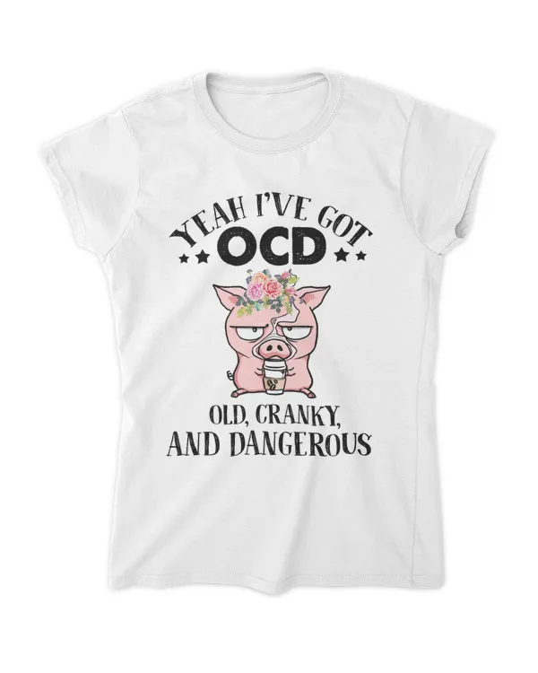 Women's Soft Style Fitted T-Shirt