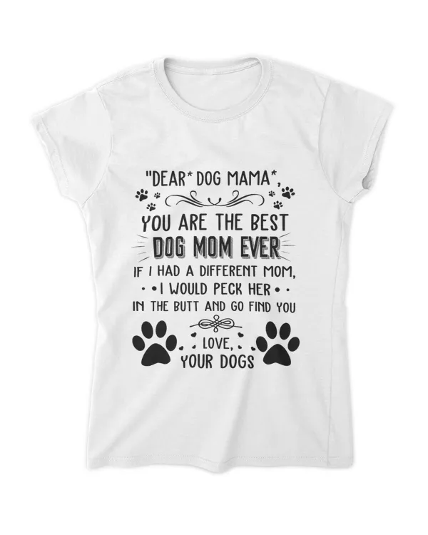Women's Soft Style Fitted T-Shirt