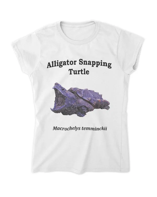 Women's Soft Style Fitted T-Shirt
