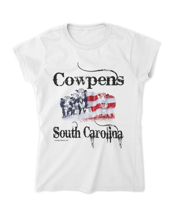 Women's Soft Style Fitted T-Shirt
