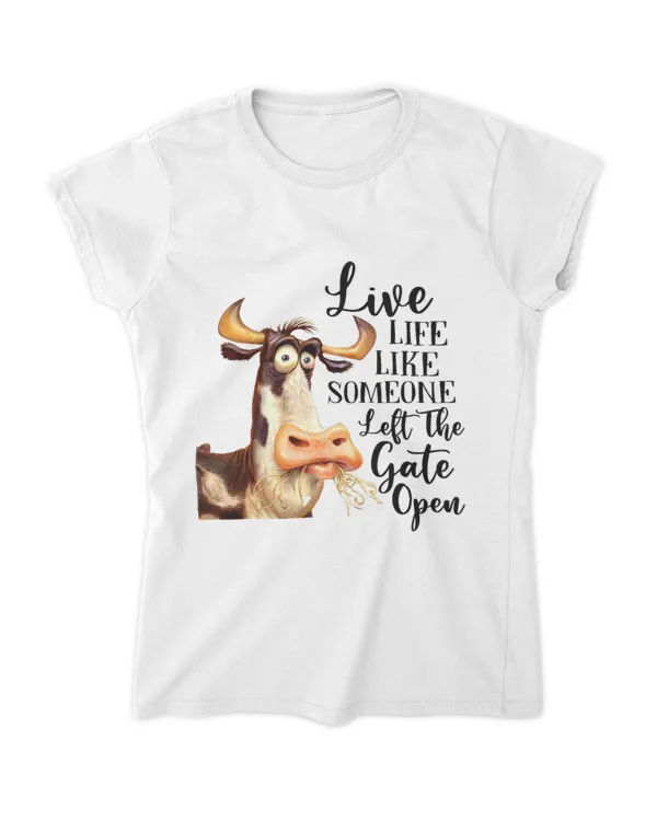 Women's Soft Style Fitted T-Shirt