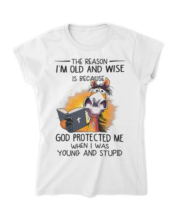 Women's Soft Style Fitted T-Shirt