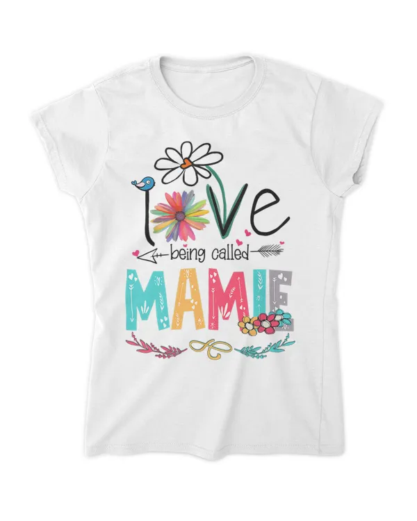Women's Soft Style Fitted T-Shirt