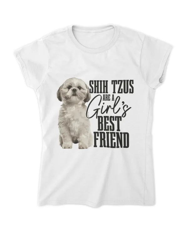 Women's Soft Style Fitted T-Shirt
