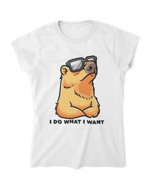 Women's Soft Style Fitted T-Shirt