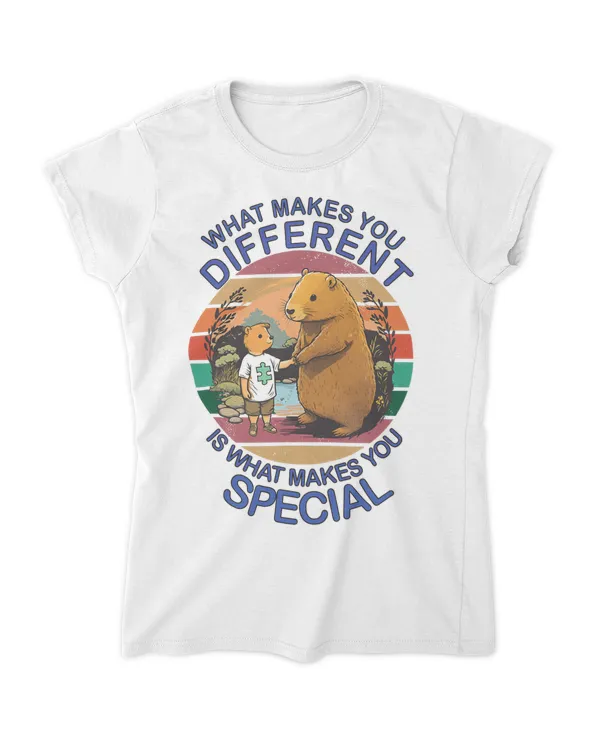 Women's Soft Style Fitted T-Shirt