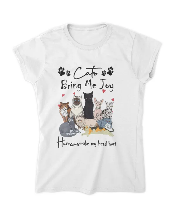Women's Soft Style Fitted T-Shirt