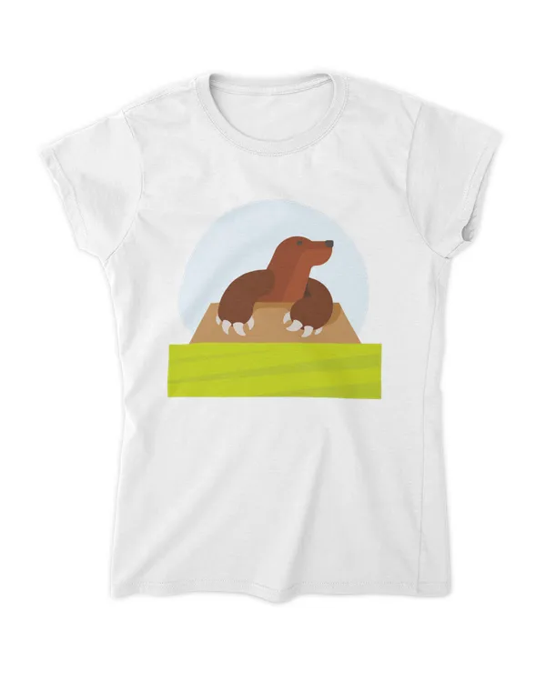 Women's Soft Style Fitted T-Shirt