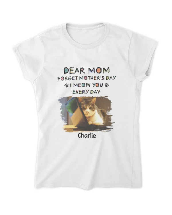 Women's Soft Style Fitted T-Shirt