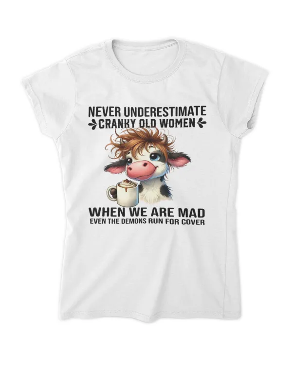 Women's Soft Style Fitted T-Shirt