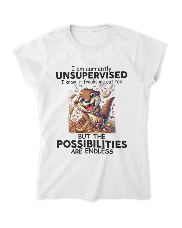 Women's Soft Style Fitted T-Shirt