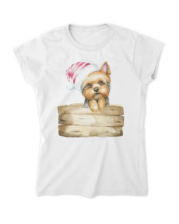 Women's Soft Style Fitted T-Shirt