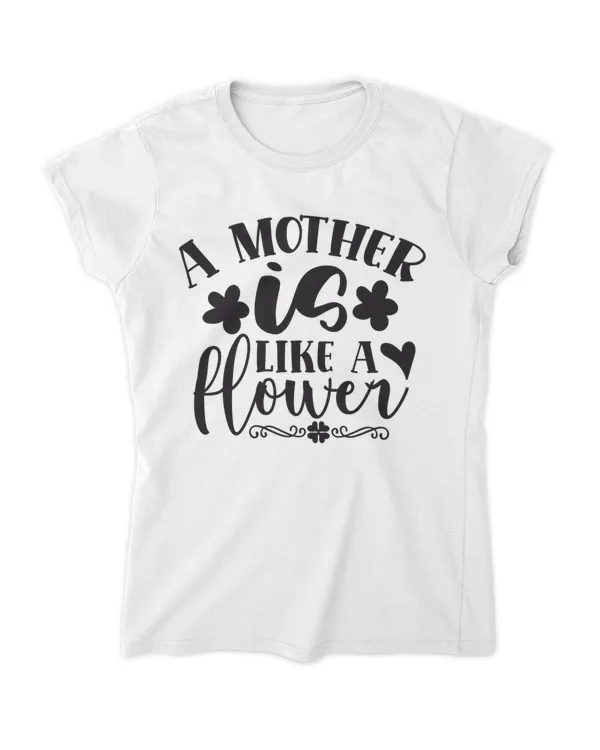 Women's Soft Style Fitted T-Shirt