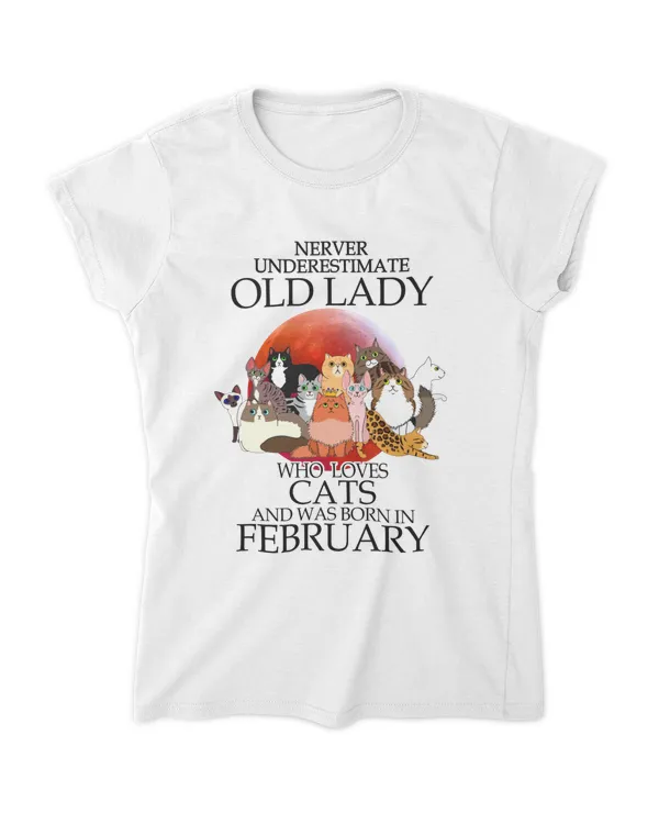 Women's Soft Style Fitted T-Shirt