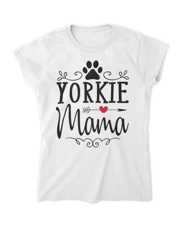 Women's Soft Style Fitted T-Shirt