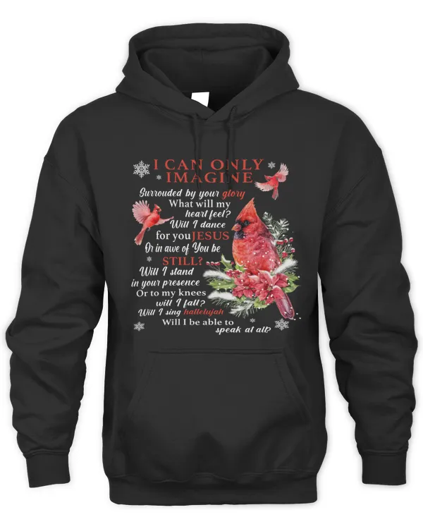 I CAN ONLY IMAGINE, CARDINAL T-SHIRT, JESUS T-SHIRT, GOD T-SHIRT, CHRISTMAS T-SHIRT
