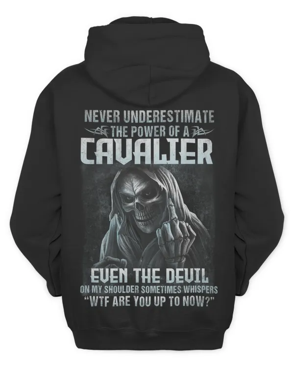 CAVALIER-NT-39-01
