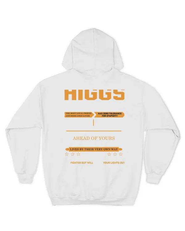 HIGGS-13K-N1-01