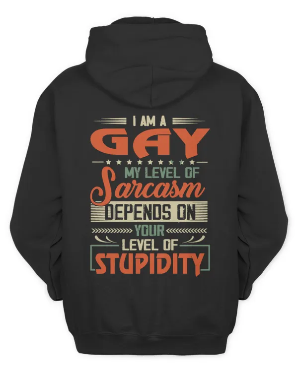 GAY NN02 K3379