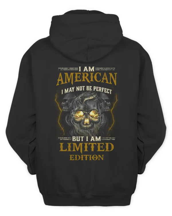AMERICAN DL965