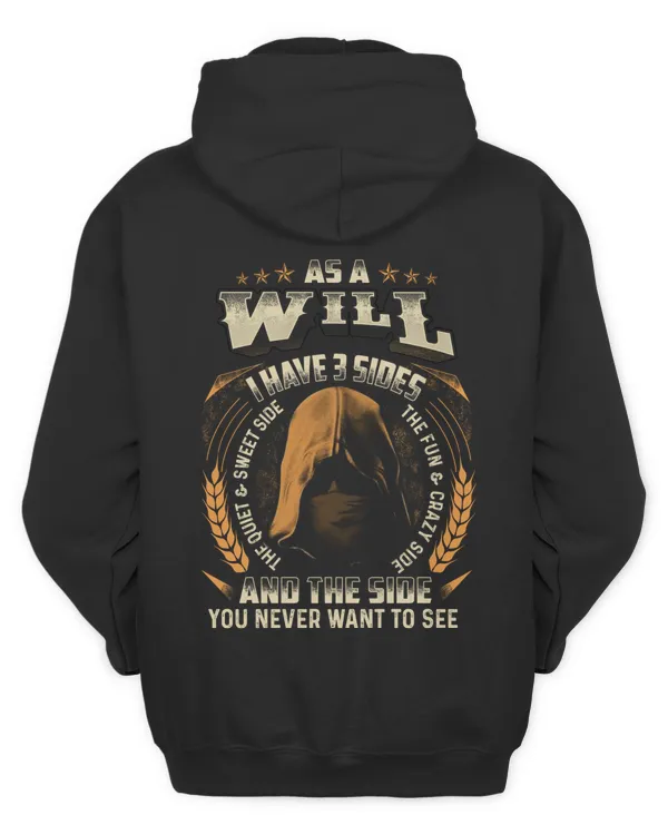WILL LT01