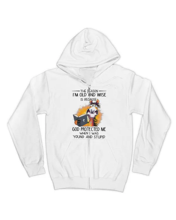 Men's Zip Hoodie