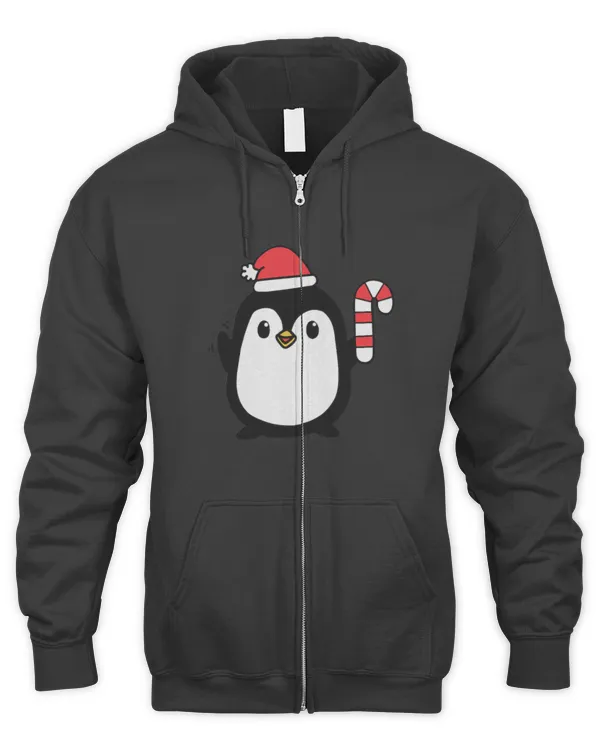 Men's Zip Hoodie
