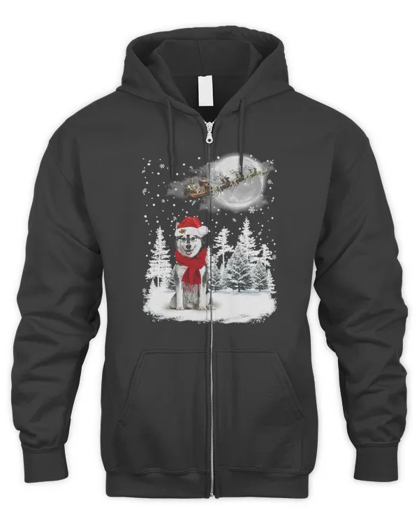 Men's Zip Hoodie