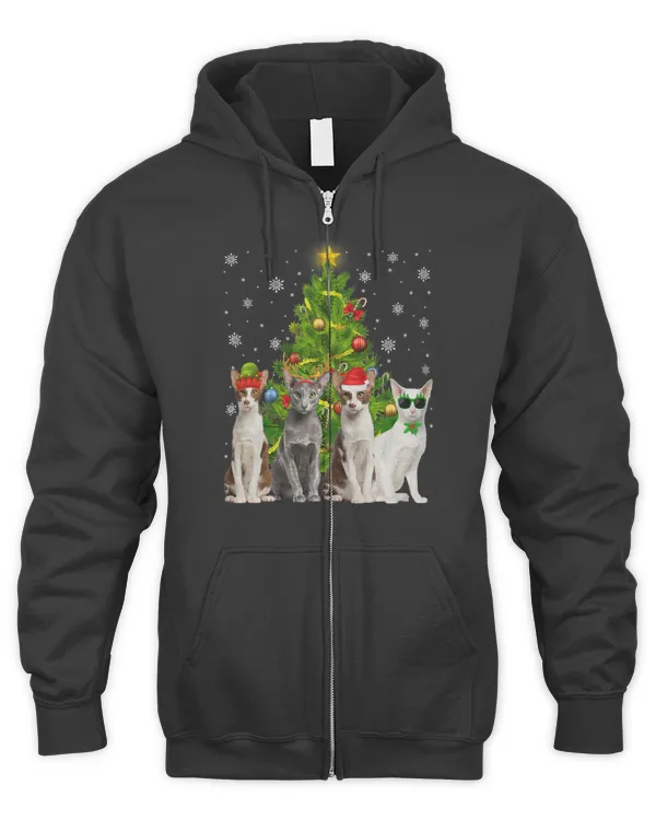 Men's Zip Hoodie