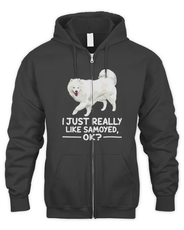 Men's Zip Hoodie