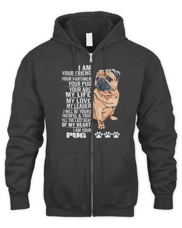 Men's Zip Hoodie
