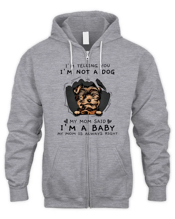 Men's Zip Hoodie