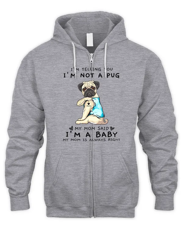 Men's Zip Hoodie