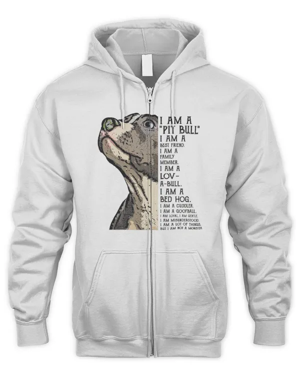 Men's Zip Hoodie