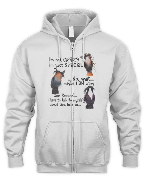 Men's Zip Hoodie