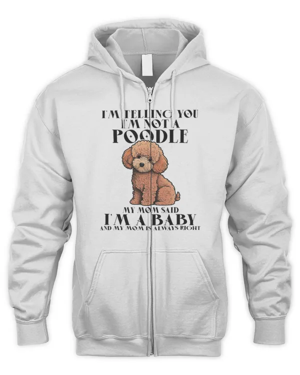 Men's Zip Hoodie