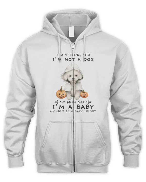Men's Zip Hoodie