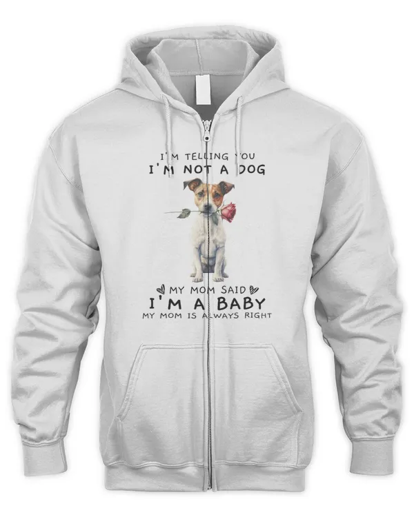 Men's Zip Hoodie