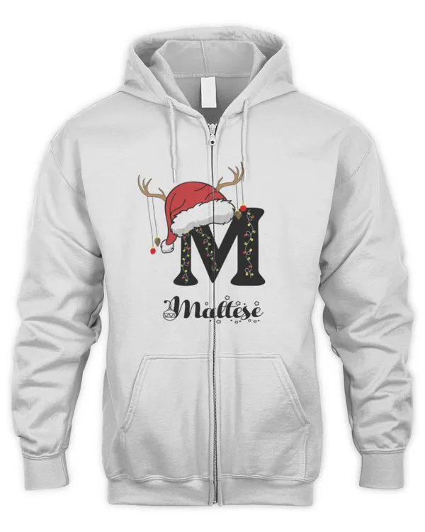 Men's Zip Hoodie