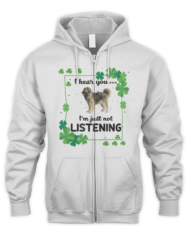Men's Zip Hoodie