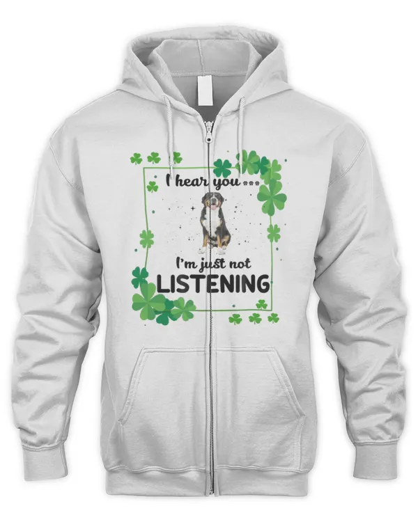 Men's Zip Hoodie