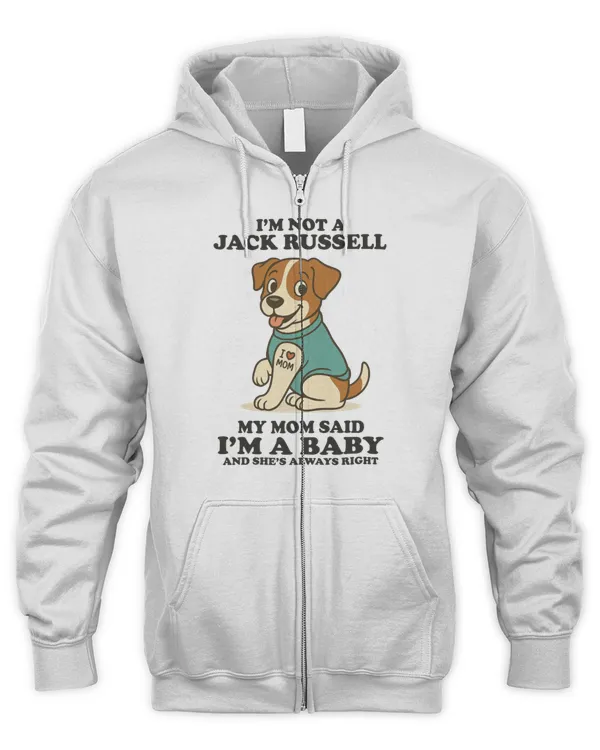 Men's Zip Hoodie