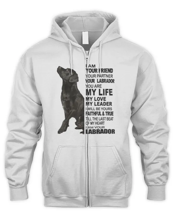 Men's Zip Hoodie
