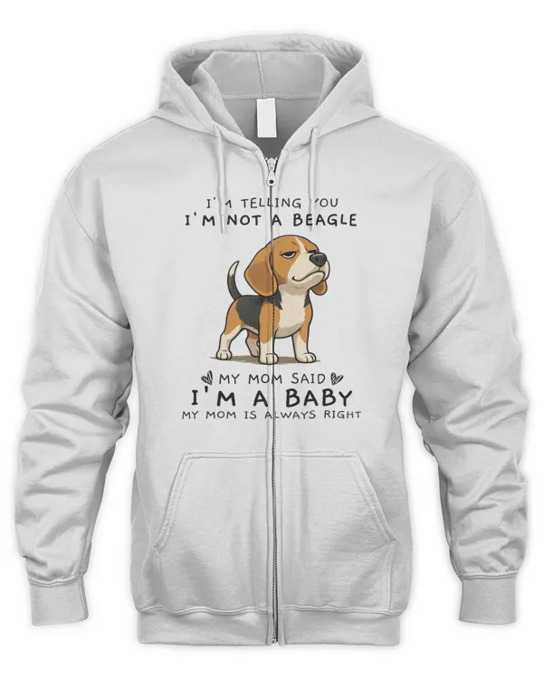 Men's Zip Hoodie