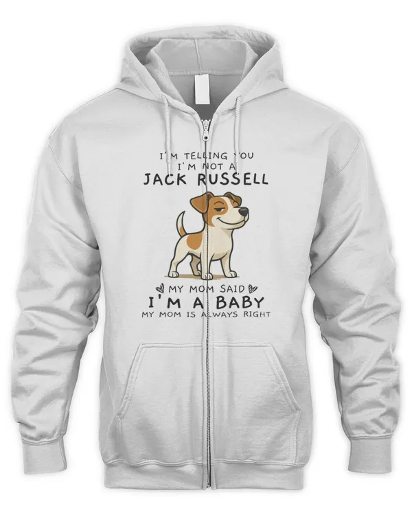 Men's Zip Hoodie