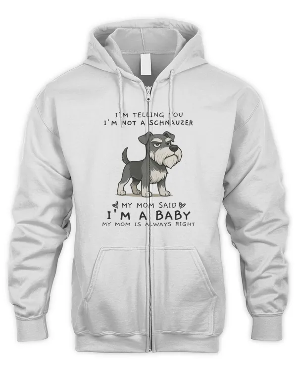 Men's Zip Hoodie