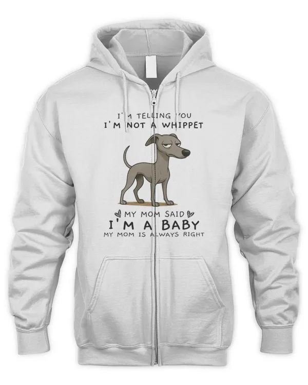Men's Zip Hoodie
