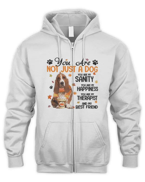 Men's Zip Hoodie