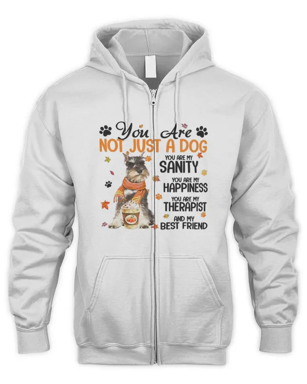Men's Zip Hoodie